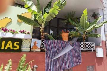  Original celebración del Día de Canarias en El Ejido de Telde/TA.